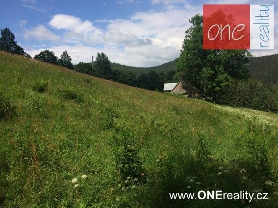 Pronájem pozemku 23000 m² - foto 3