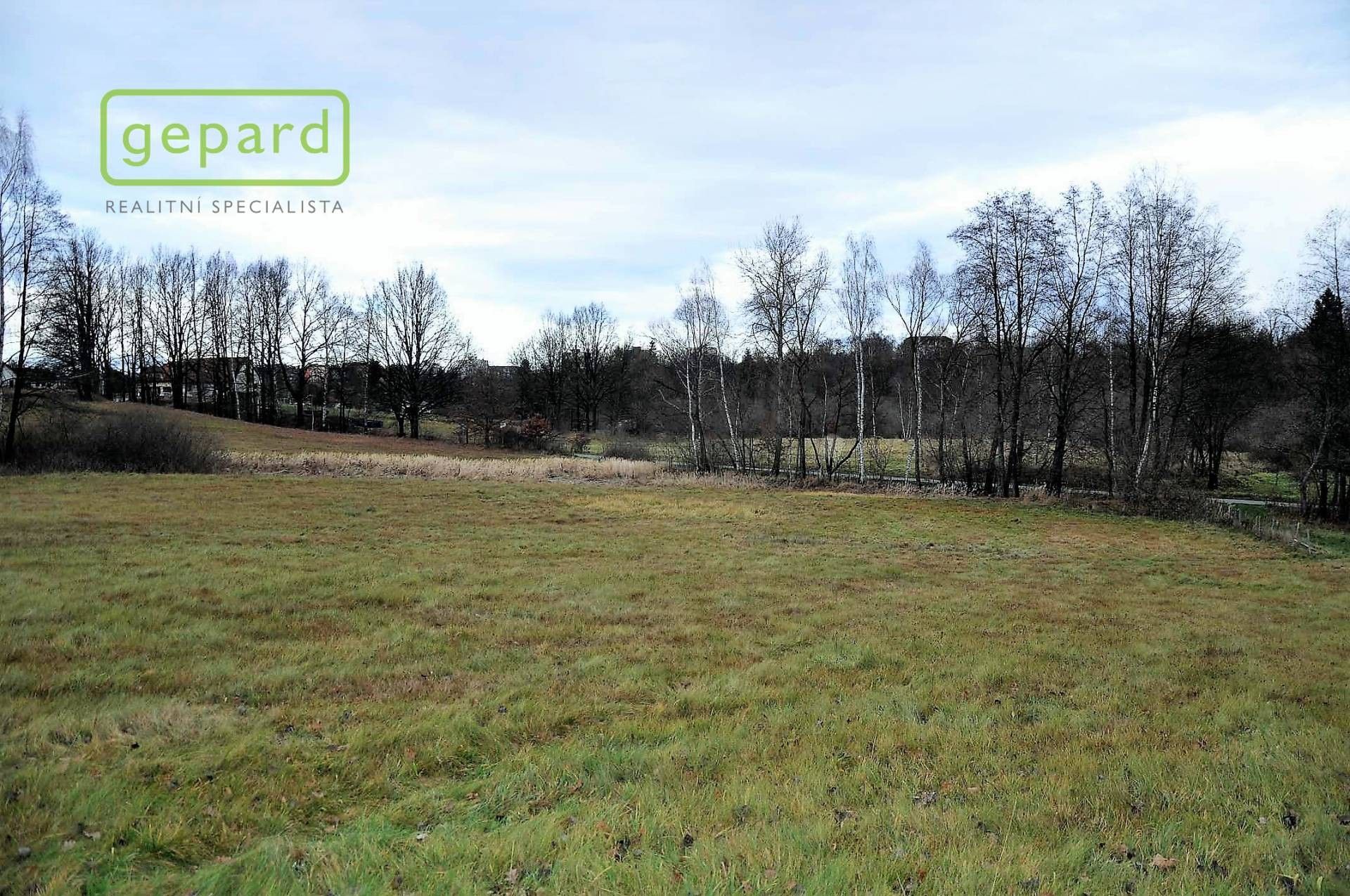 Prodej pozemku 4674 m² - foto 5