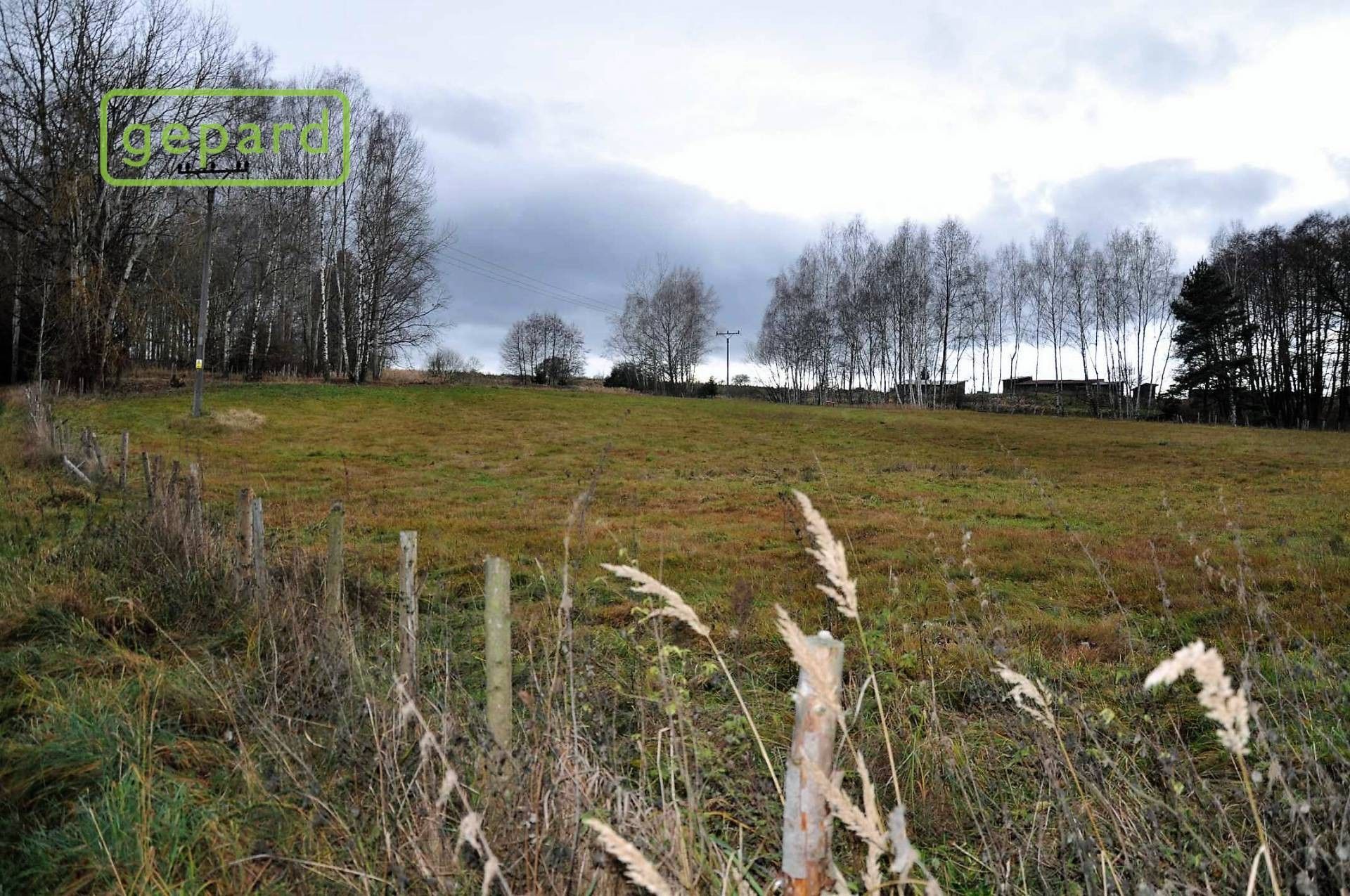 Prodej pozemku 4674 m² - foto 4