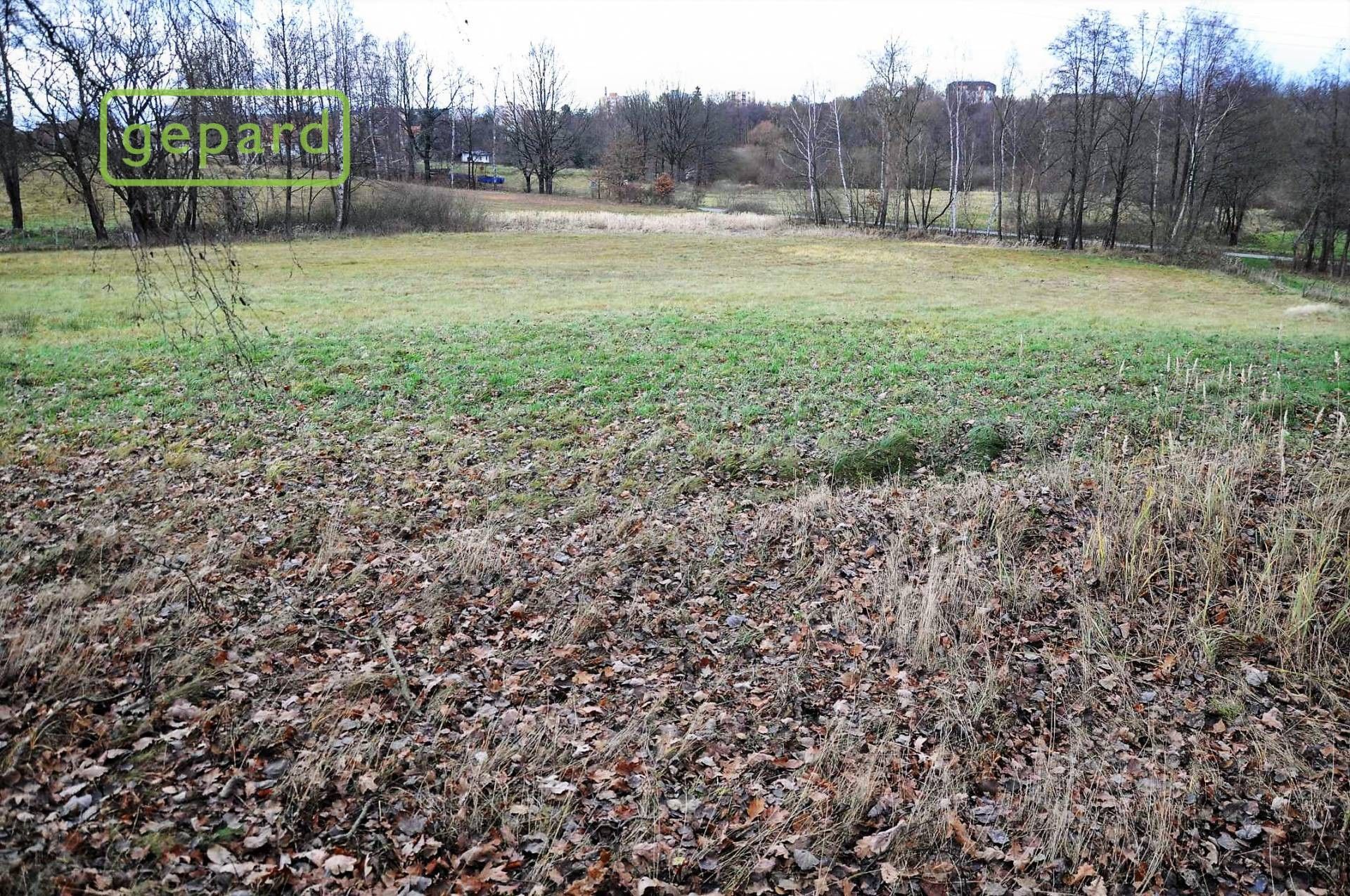 Prodej pozemku 4674 m² - foto 7