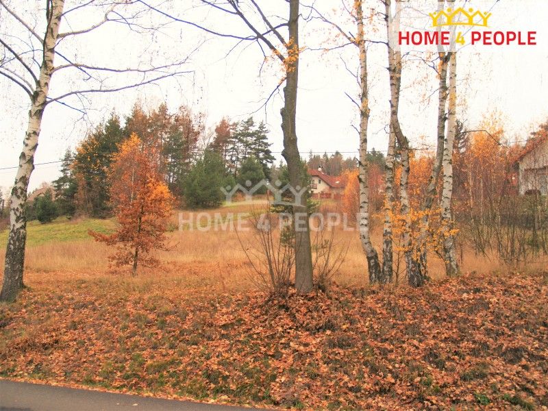 Prodej pozemku 2839 m² - foto 3