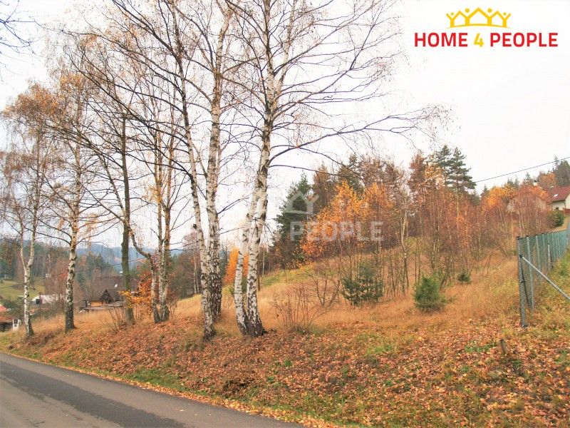 Prodej pozemku 2839 m² - foto 4