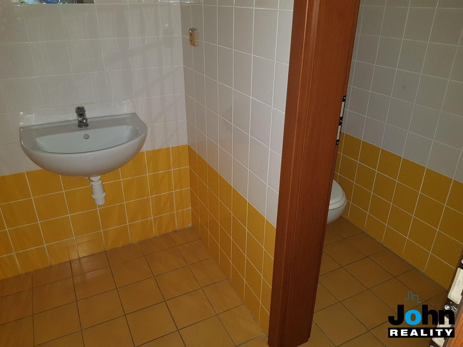 Pronájem komerčního prostoru 200 m² - foto 9