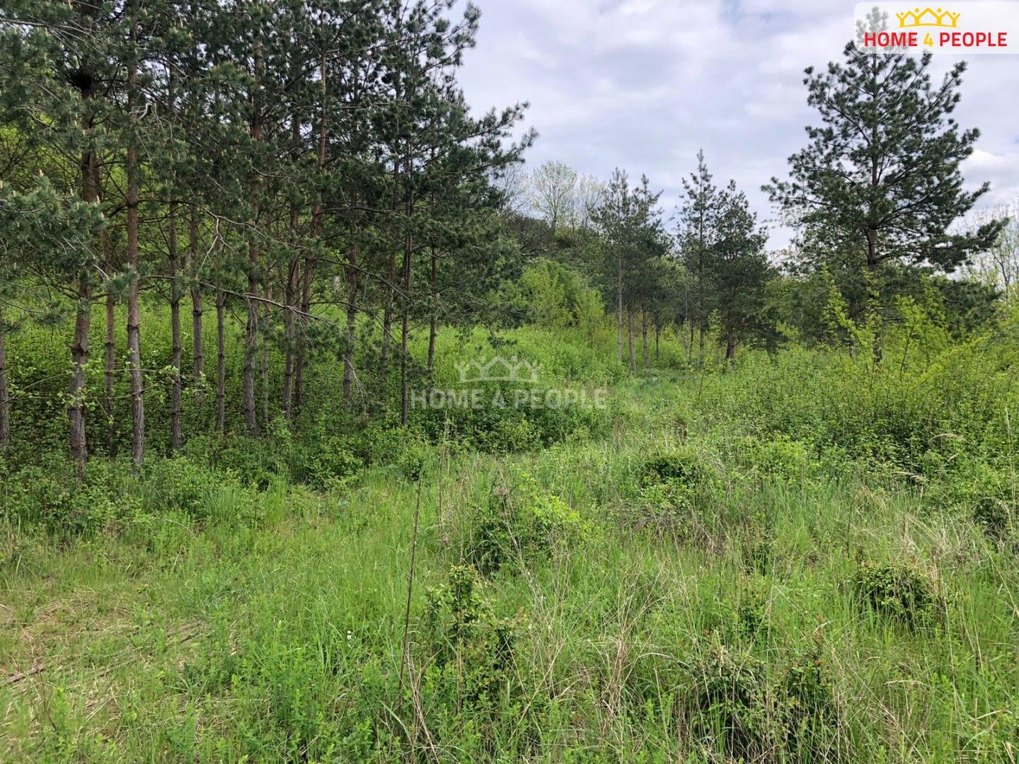Prodej komerčního prostoru 23788 m² - foto 12