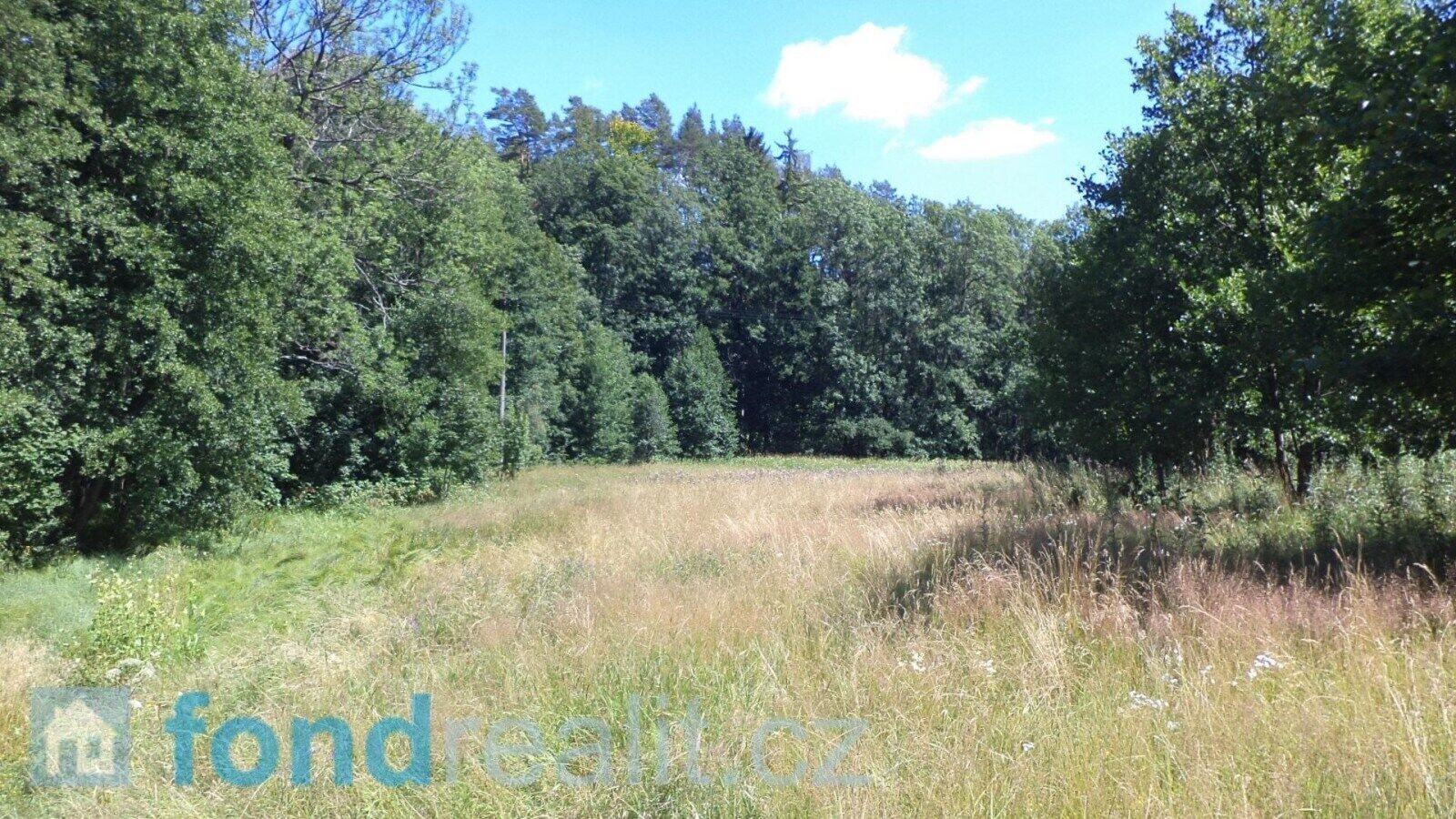 Prodej nemovitosti 19744 m² - foto 2