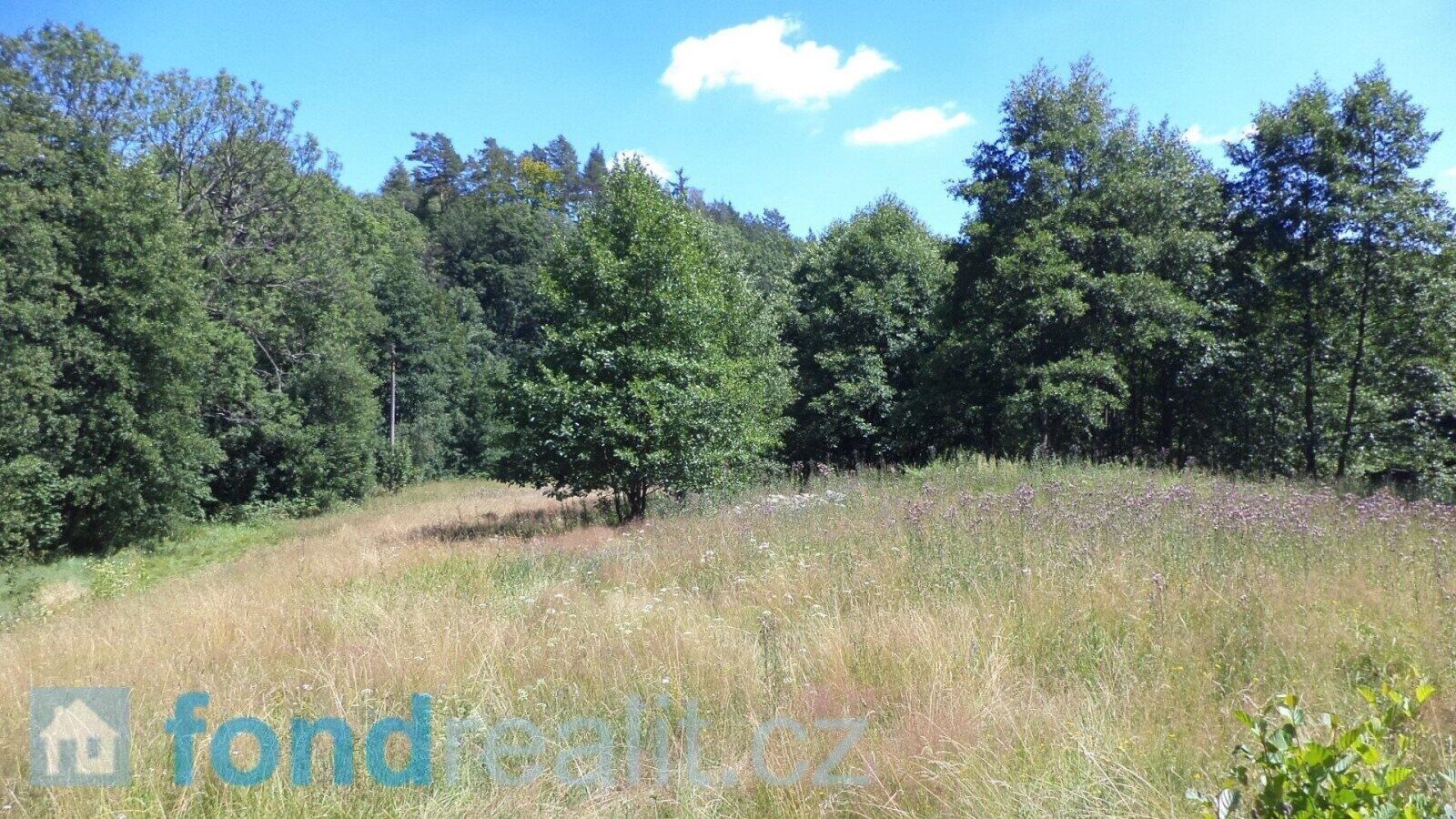 Prodej nemovitosti 19744 m² - foto 1