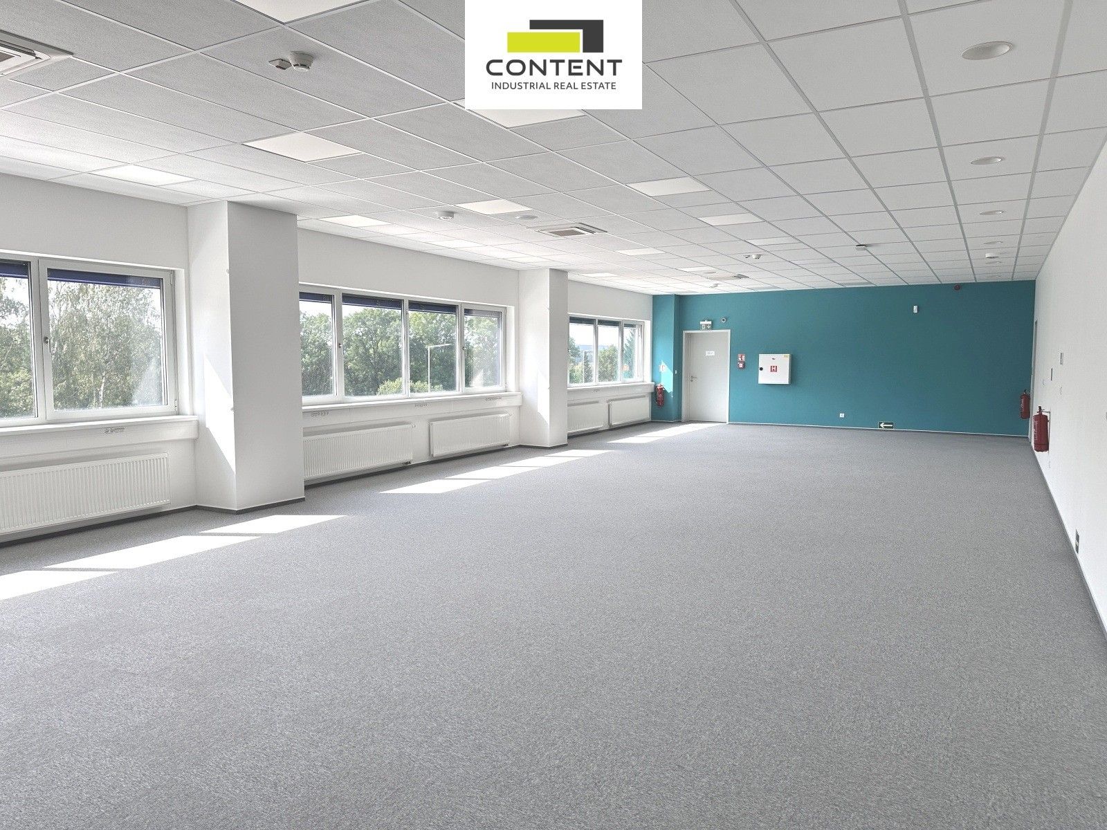 Pronájem komerčního prostoru 5000 m² - foto 13