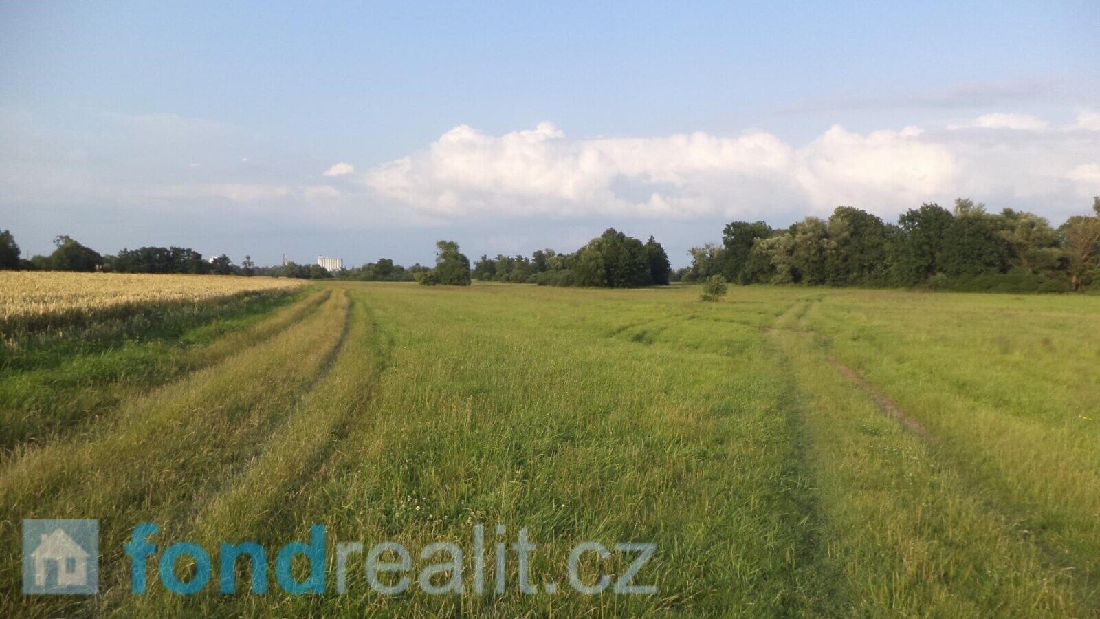 Prodej nemovitosti 9886 m² - foto 5