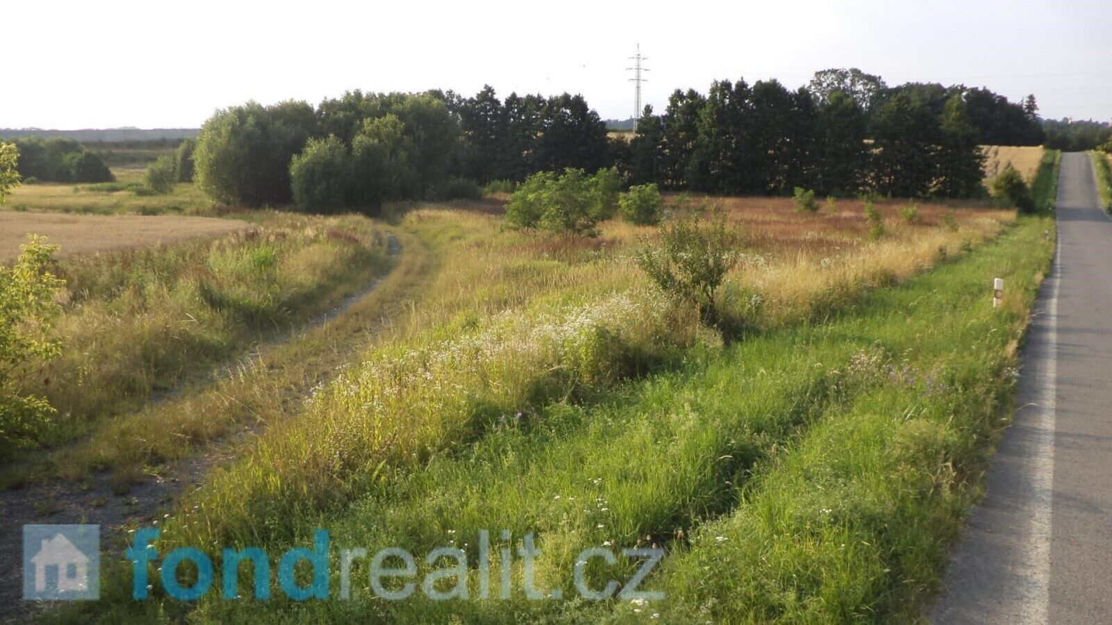 Prodej nemovitosti 9886 m² - foto 6