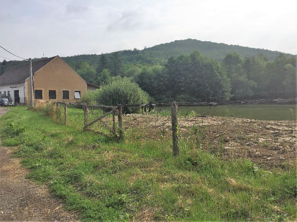 Prodej nemovitosti - foto 8