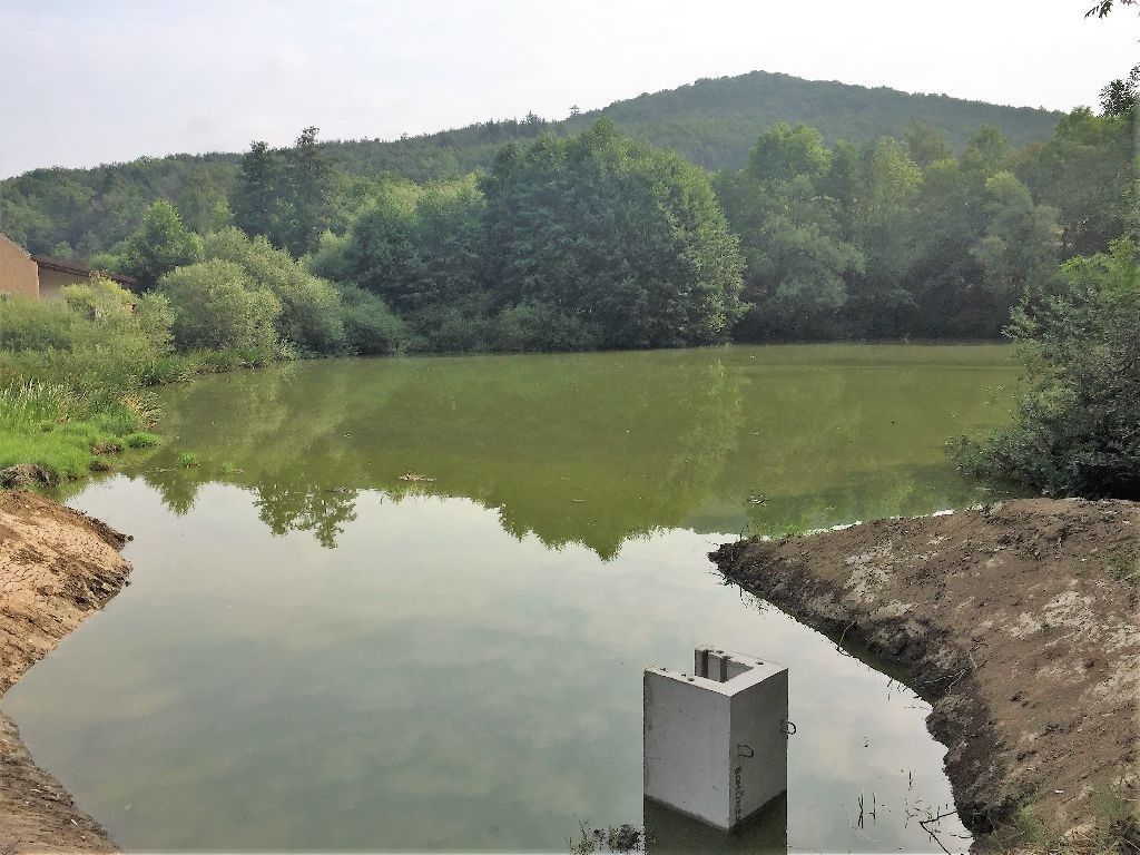 Prodej nemovitosti - foto 3