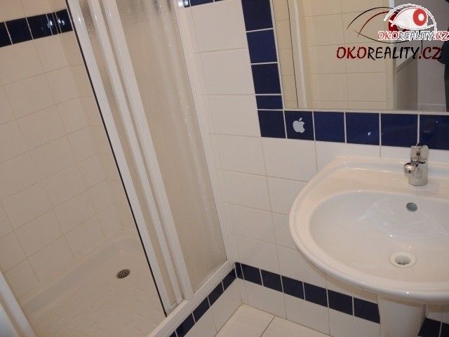 Pronájem komerčního prostoru 131 m² - foto 11