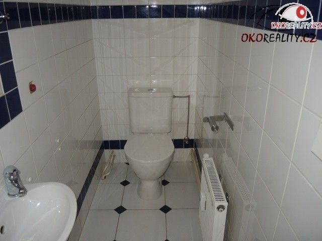 Pronájem komerčního prostoru 131 m² - foto 10