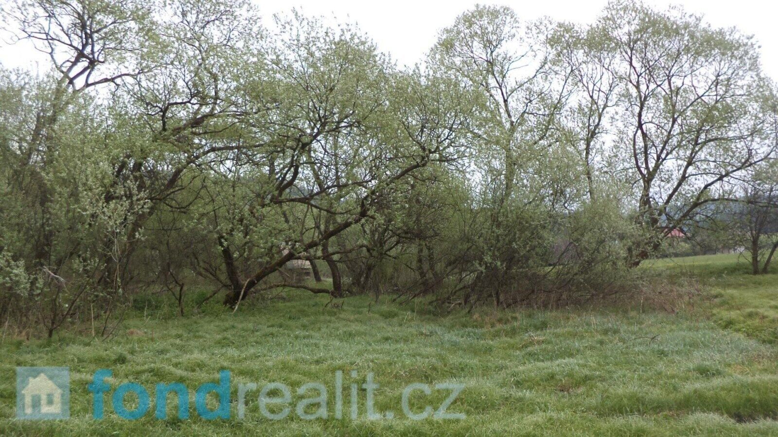 Prodej nemovitosti 8296 m² - foto 6