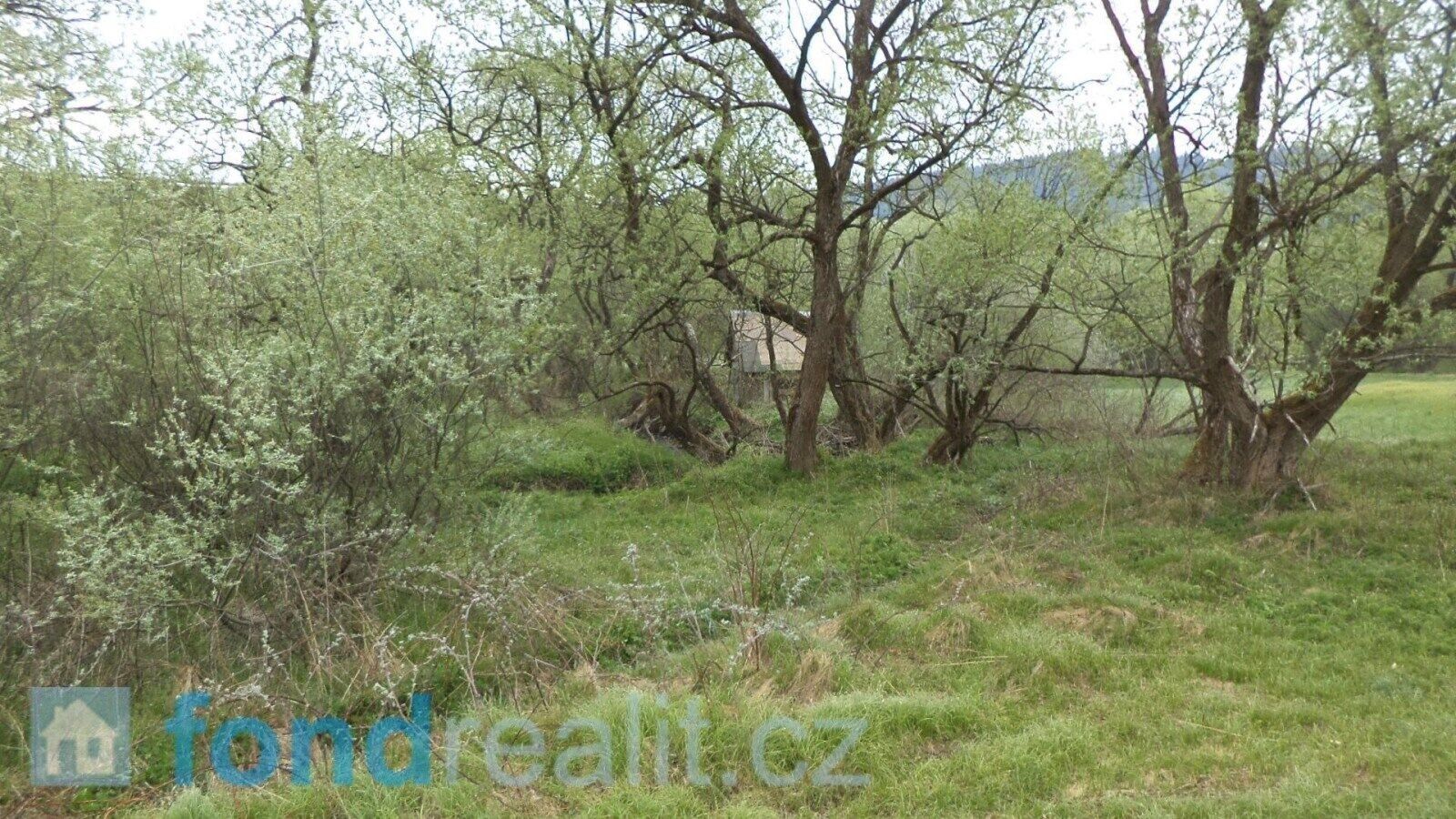 Prodej nemovitosti 8296 m² - foto 7