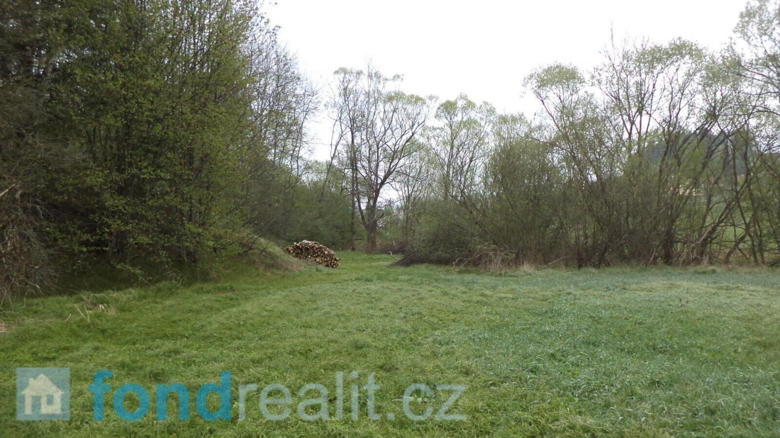 Prodej nemovitosti 8296 m² - foto 4