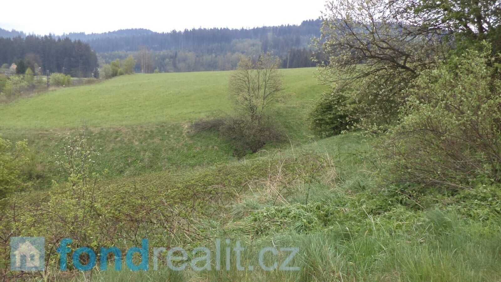 Prodej nemovitosti 1105 m² - foto 4