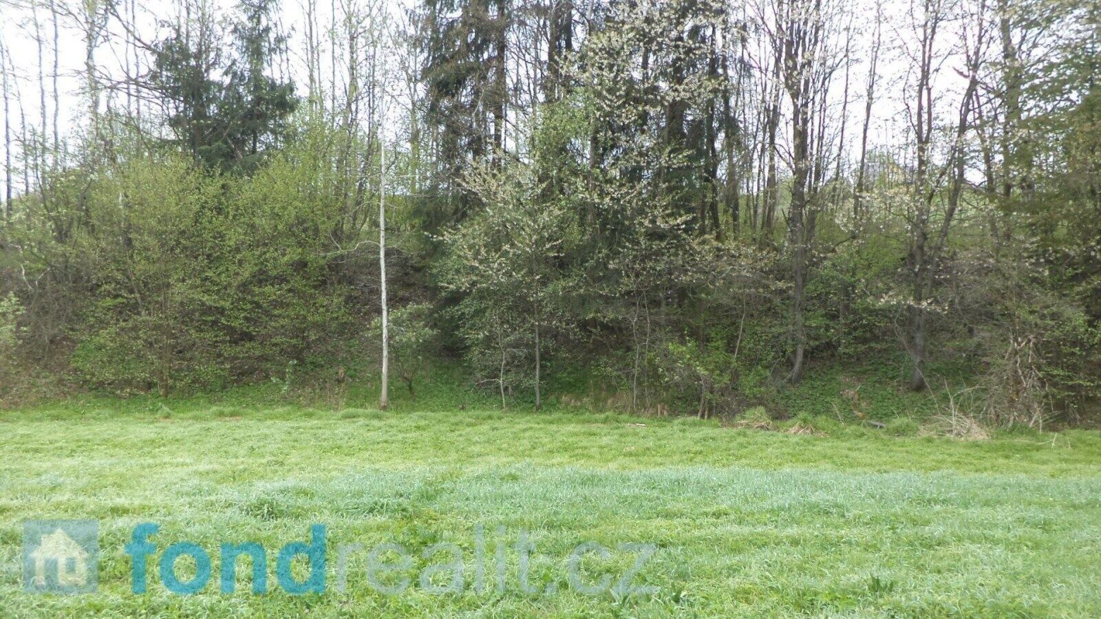Prodej nemovitosti 8296 m² - foto 3