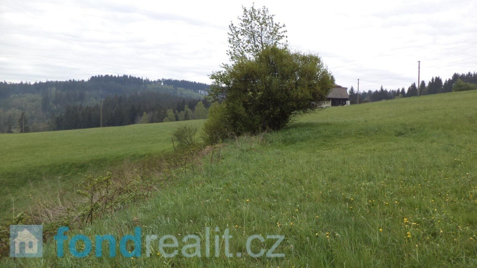 Prodej nemovitosti 1105 m² - foto 6