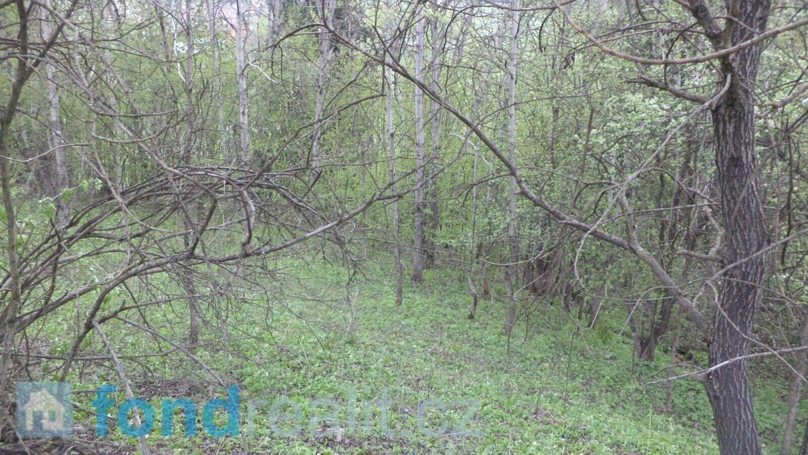 Prodej nemovitosti 8296 m² - foto 10