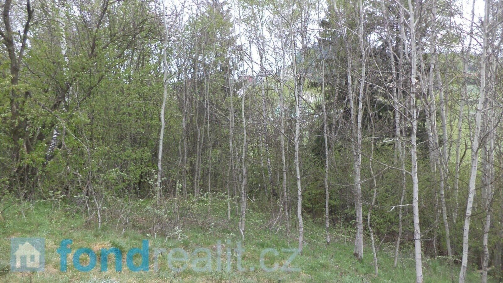 Prodej nemovitosti 8296 m² - foto 12