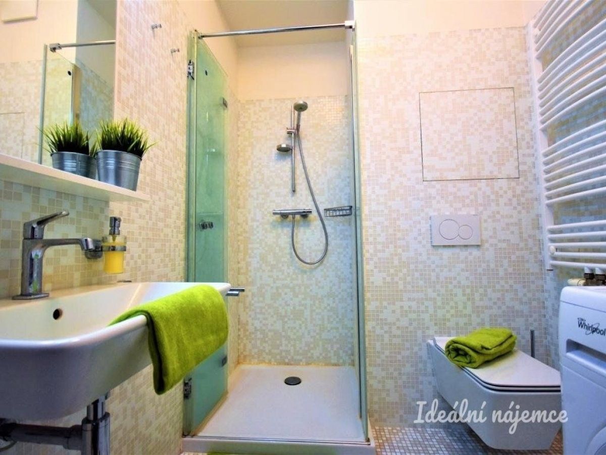Pronájem bytu 1+kk 50 m² - foto 9