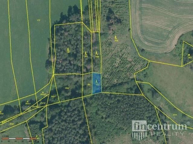 Prodej pozemku 28936 m² - foto 5