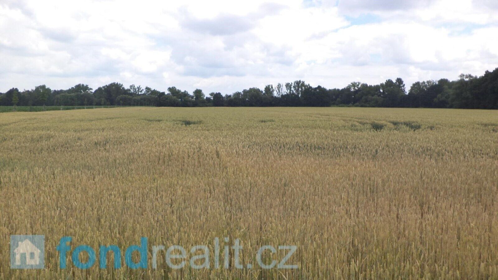 Prodej nemovitosti 6038 m² - foto 1