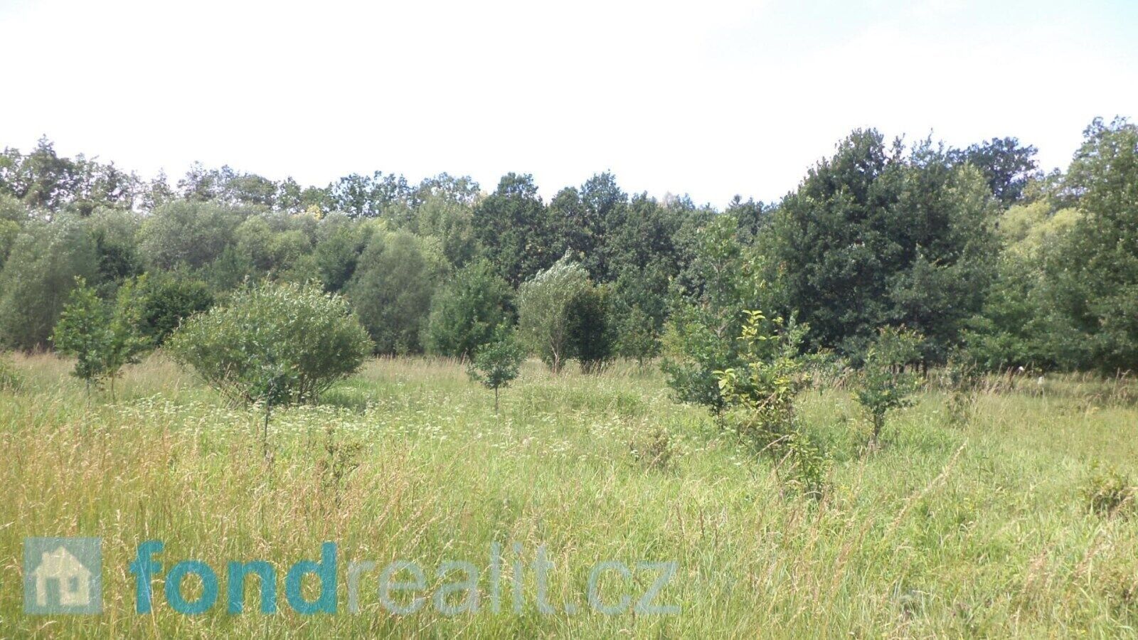 Prodej nemovitosti 12879 m² - foto 2