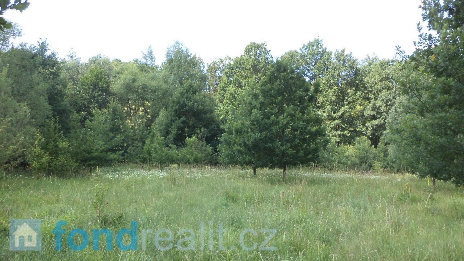 Prodej nemovitosti 12879 m² - foto 4