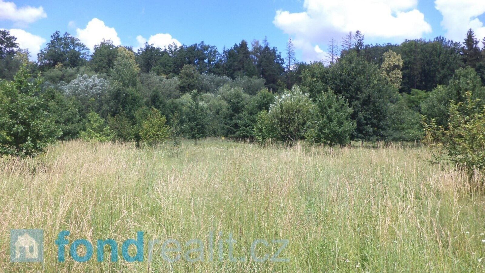 Prodej nemovitosti 12879 m² - foto 1