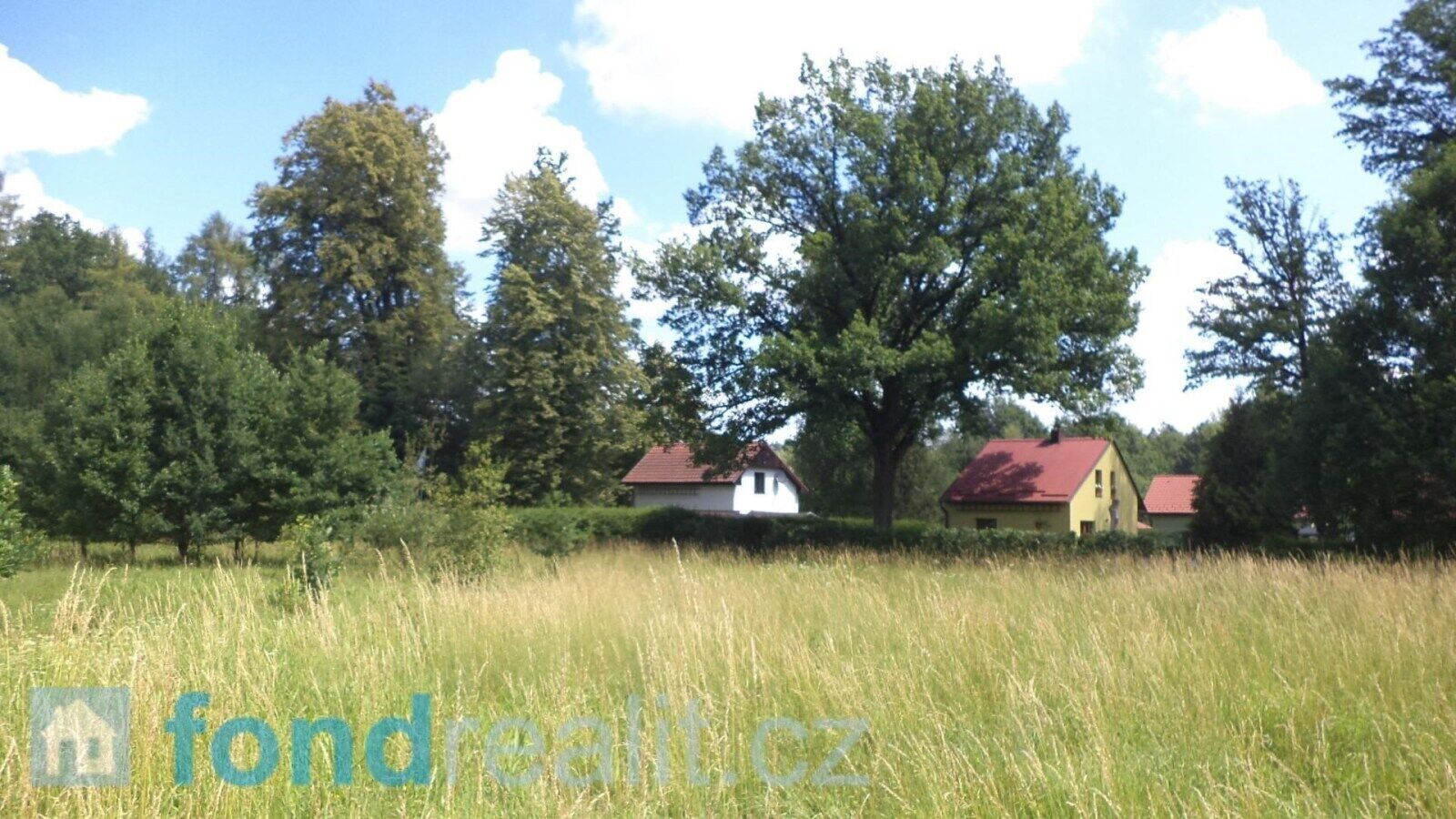 Prodej nemovitosti 12879 m² - foto 5