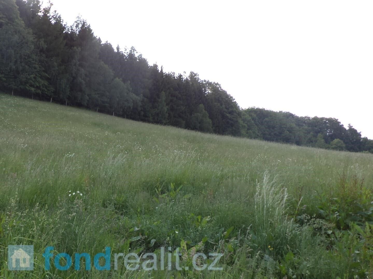 Prodej pozemku 12576 m² - foto 1