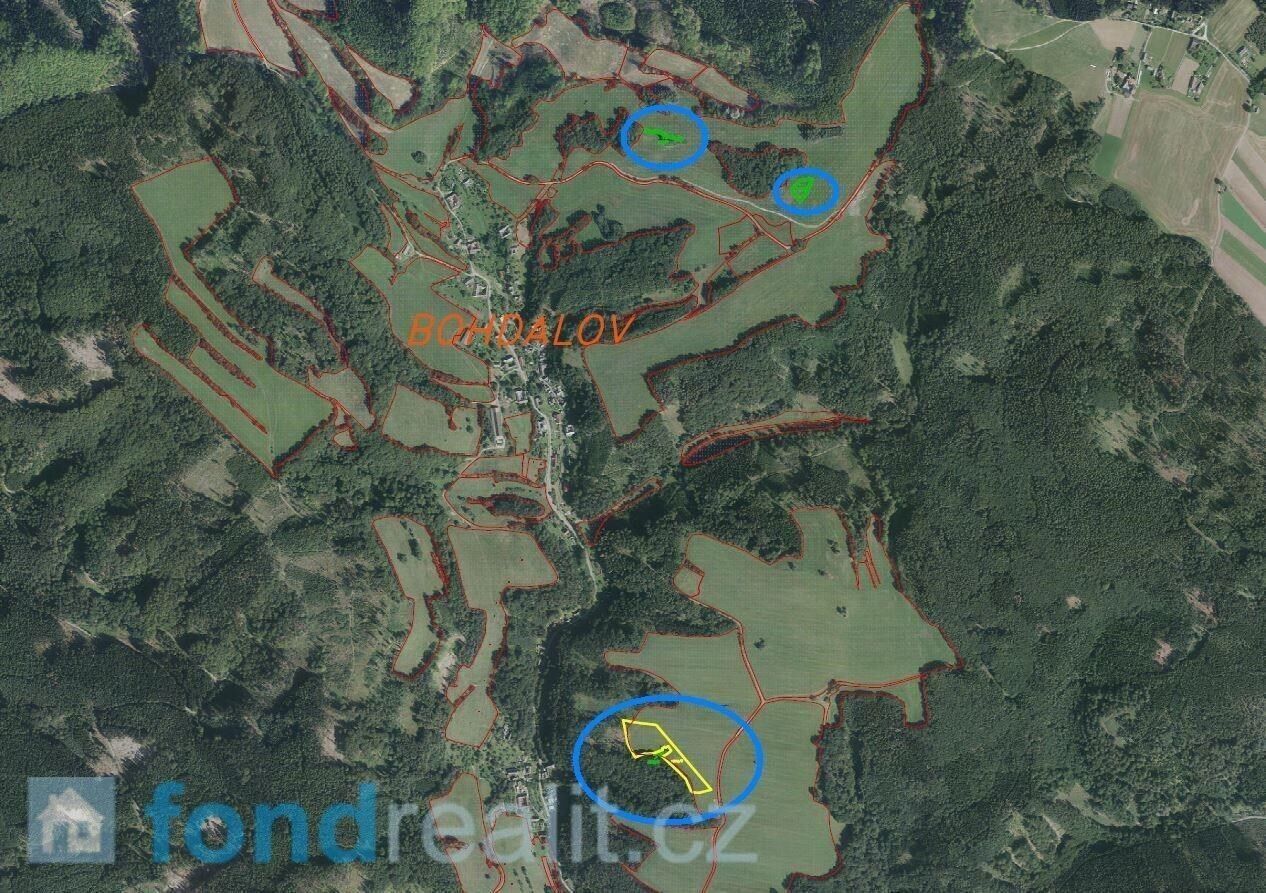 Prodej pozemku 12576 m² - foto 5