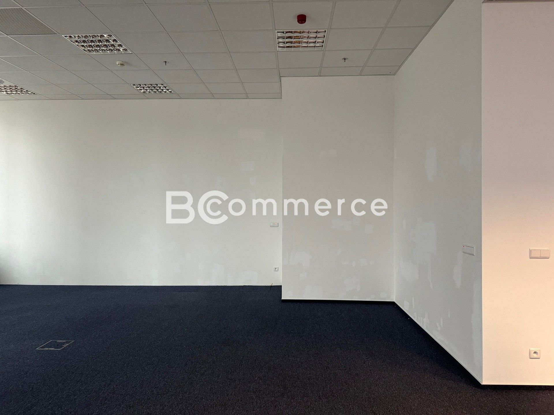 Pronájem komerčního prostoru 780 m² - foto 5