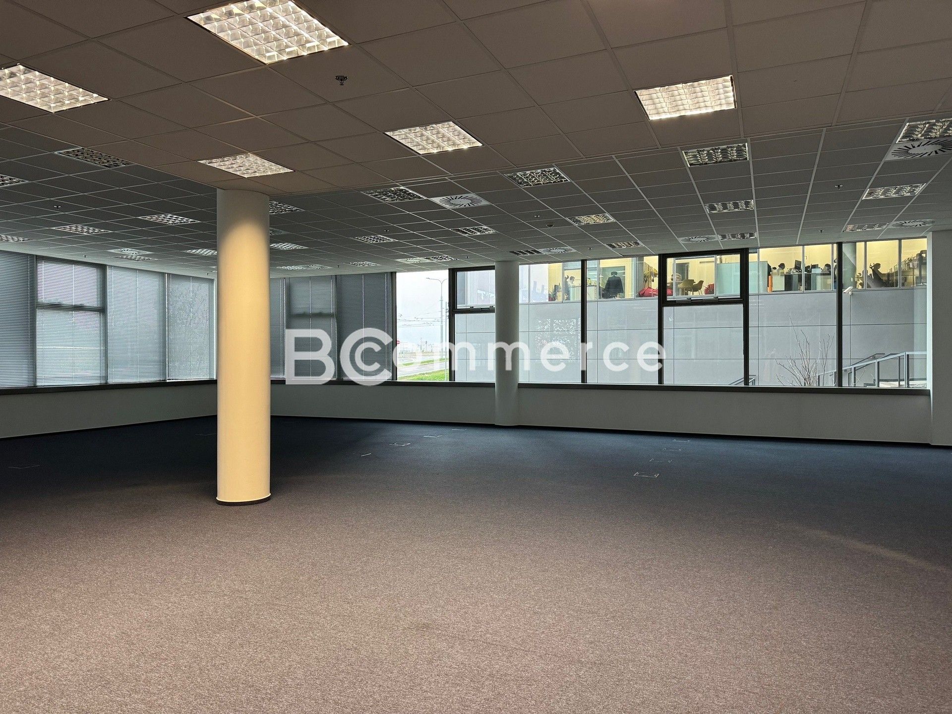 Pronájem komerčního prostoru 780 m² - foto 3