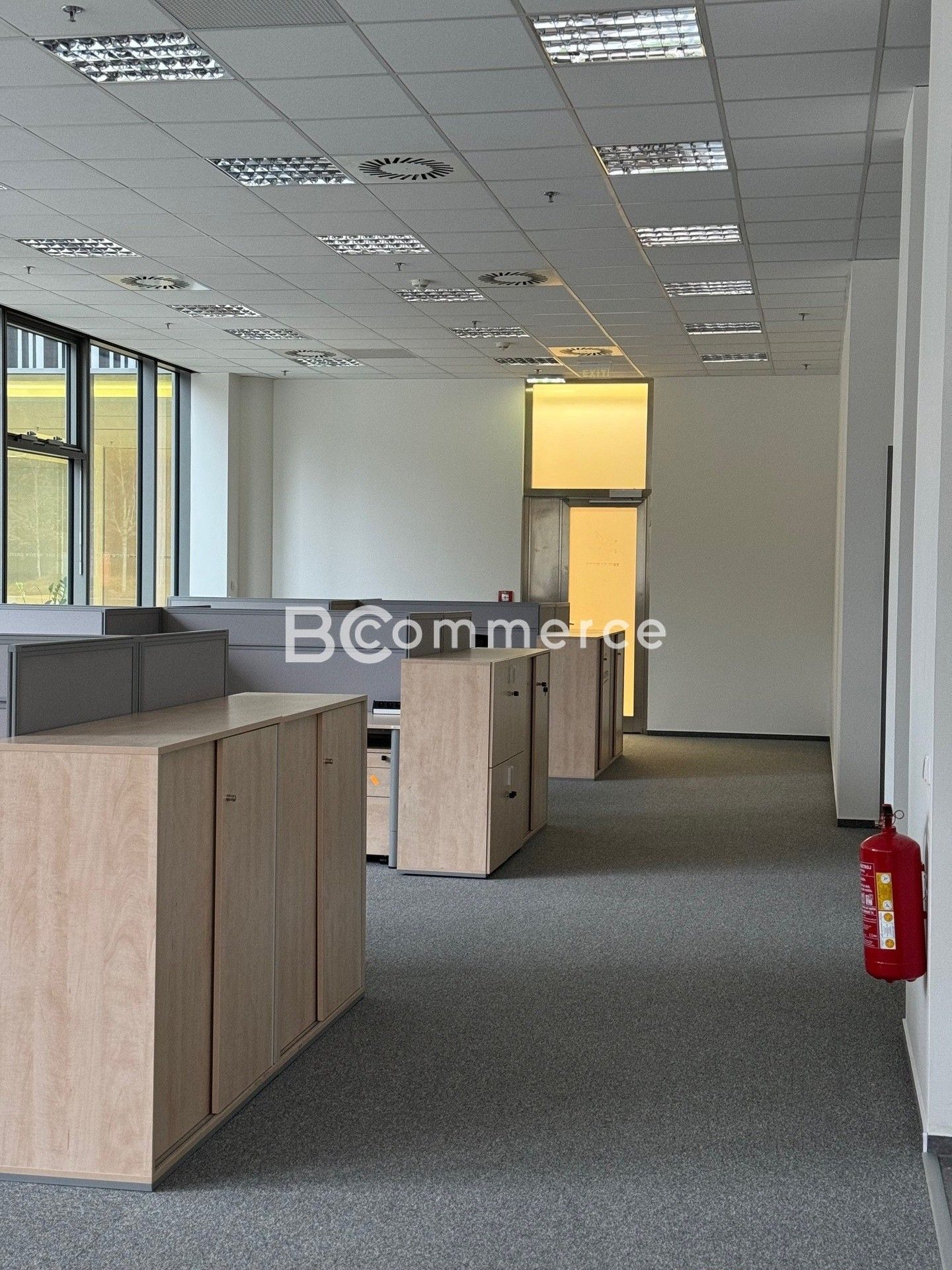 Pronájem komerčního prostoru 780 m² - foto 6