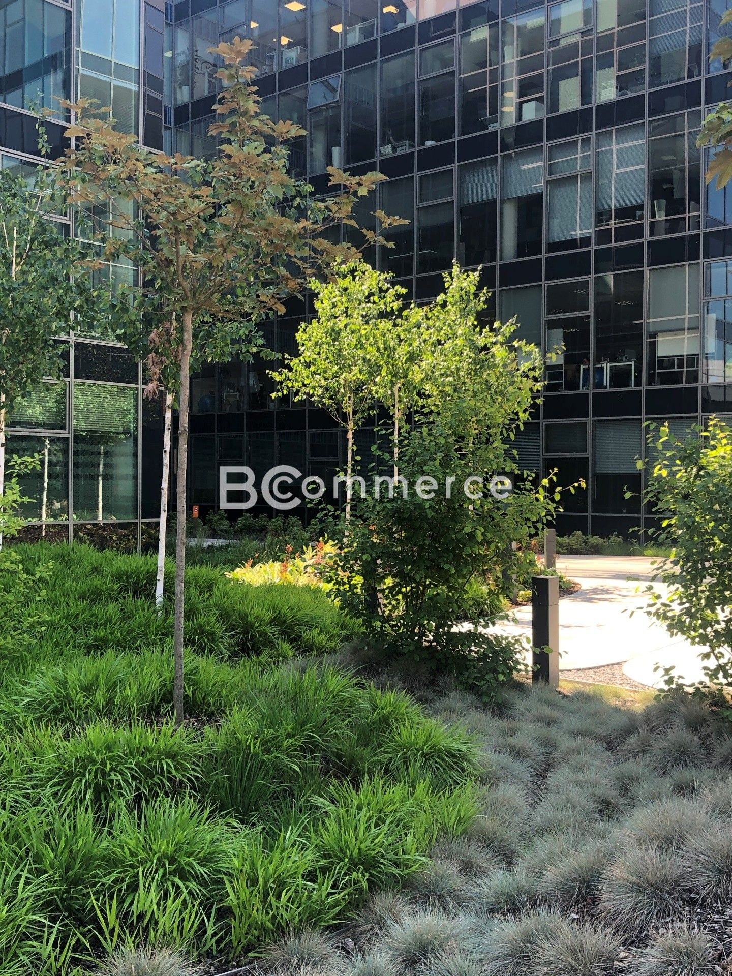 Pronájem komerčního prostoru 780 m² - foto 13