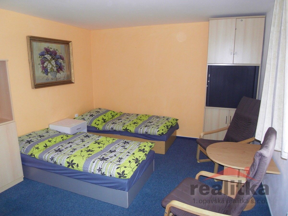 Pronájem bytu 20 m² - foto 1