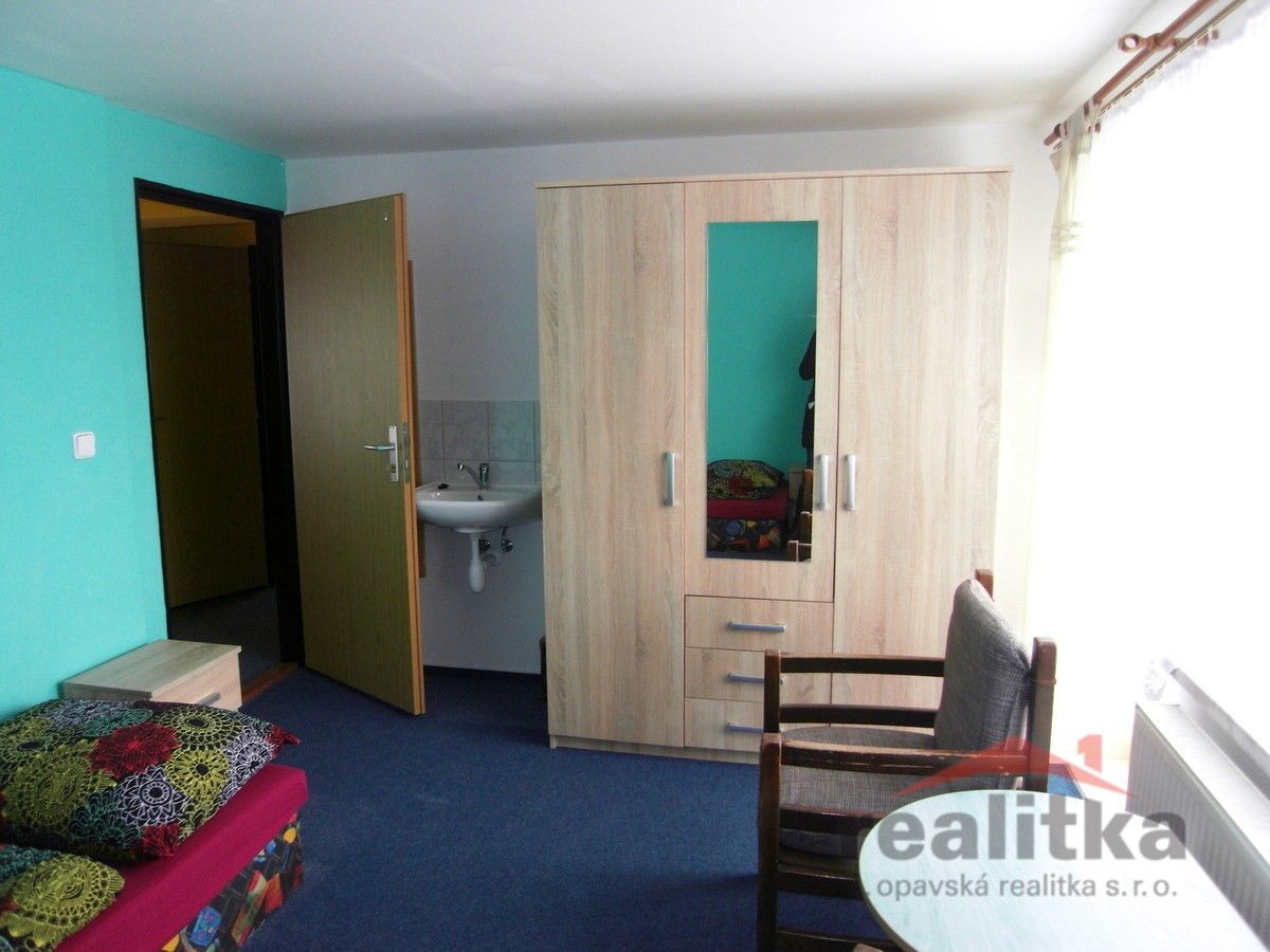 Pronájem bytu 20 m² - foto 4