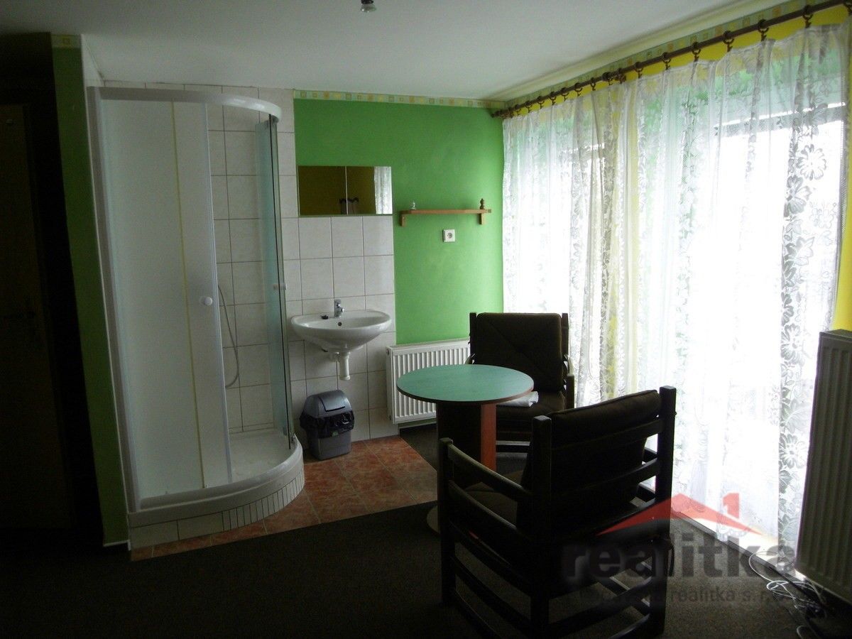 Pronájem bytu 20 m² - foto 10