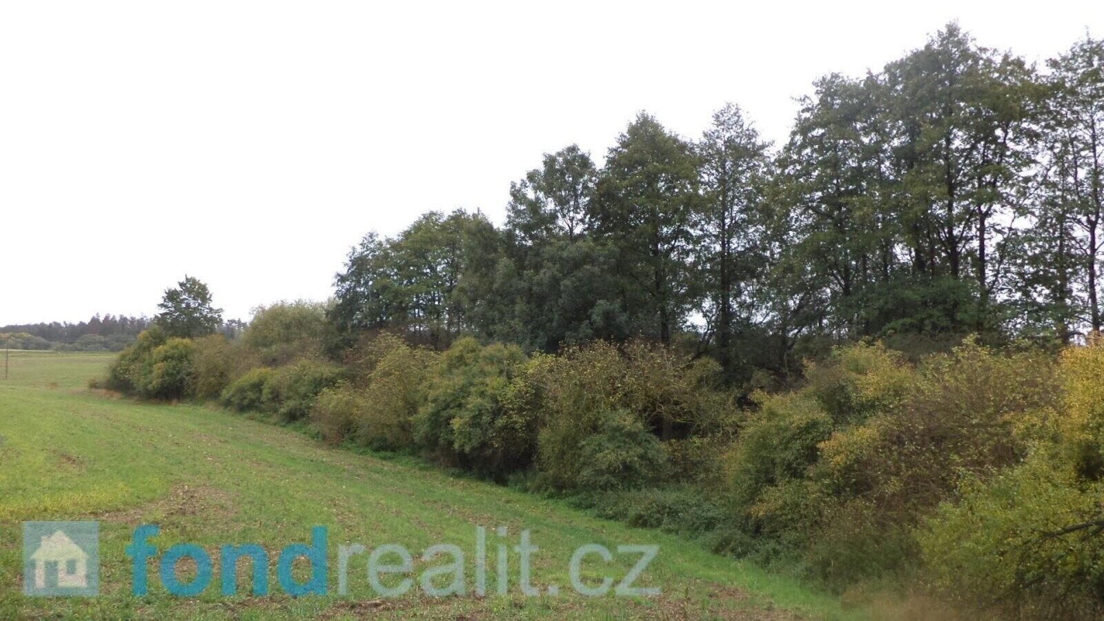 Prodej nemovitosti 3639 m² - foto 1