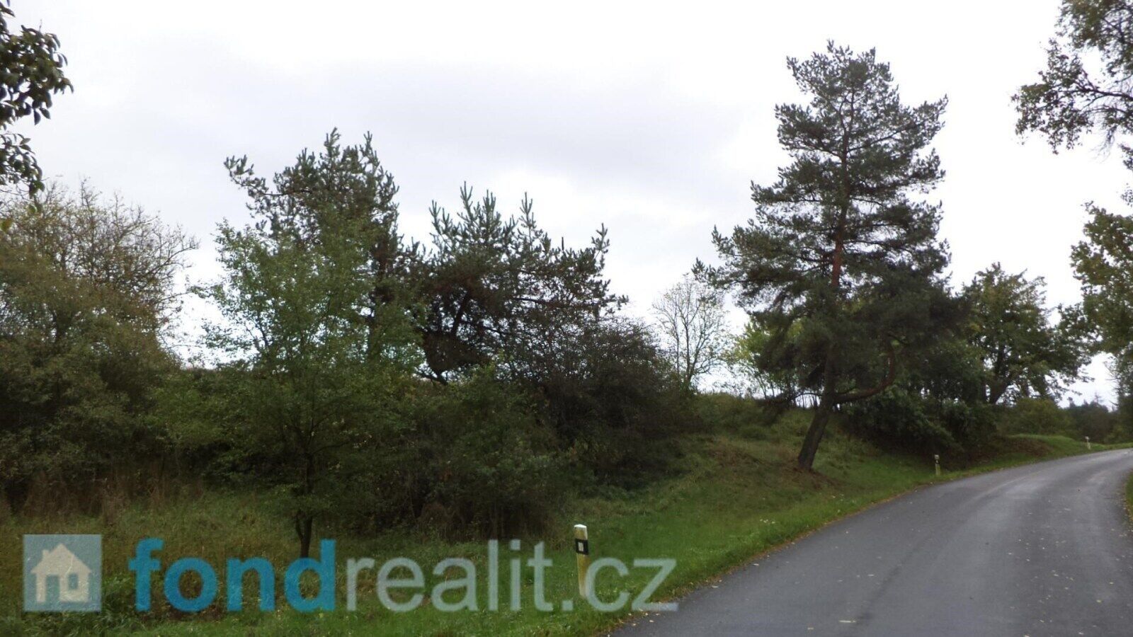 Prodej nemovitosti 3639 m² - foto 2