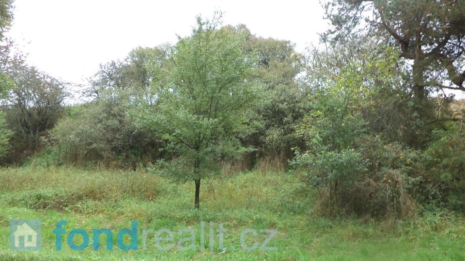 Prodej nemovitosti 3639 m² - foto 3