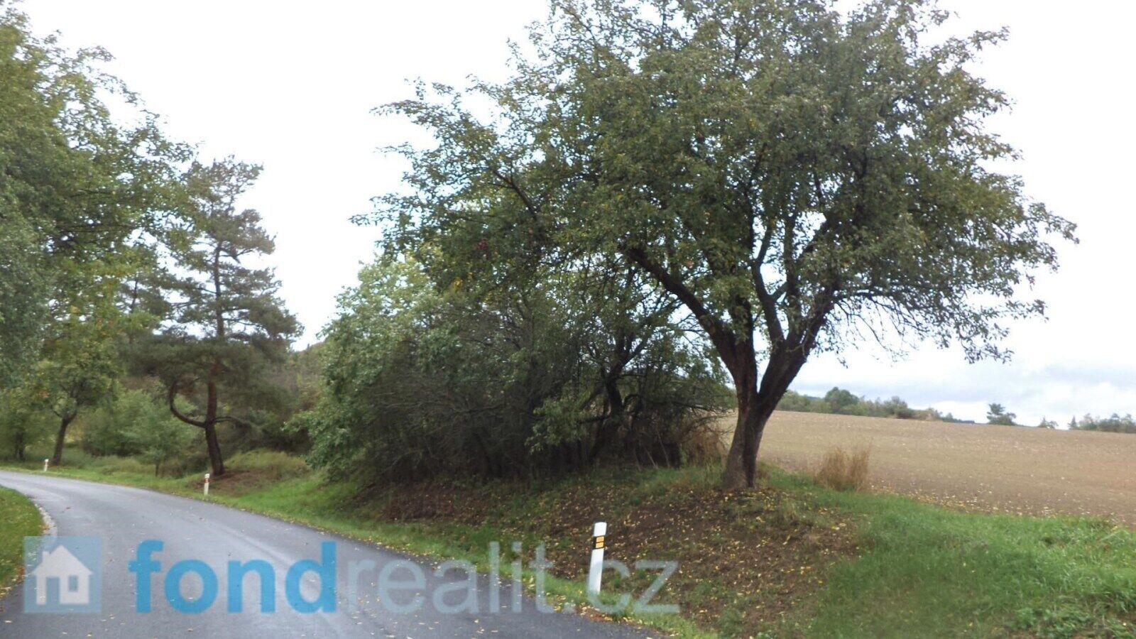 Prodej nemovitosti 3639 m² - foto 4