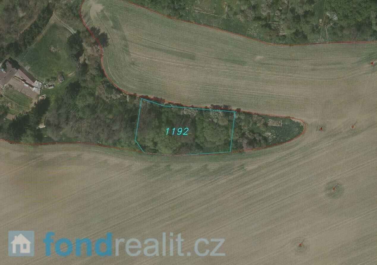 Prodej nemovitosti 3639 m² - foto 5
