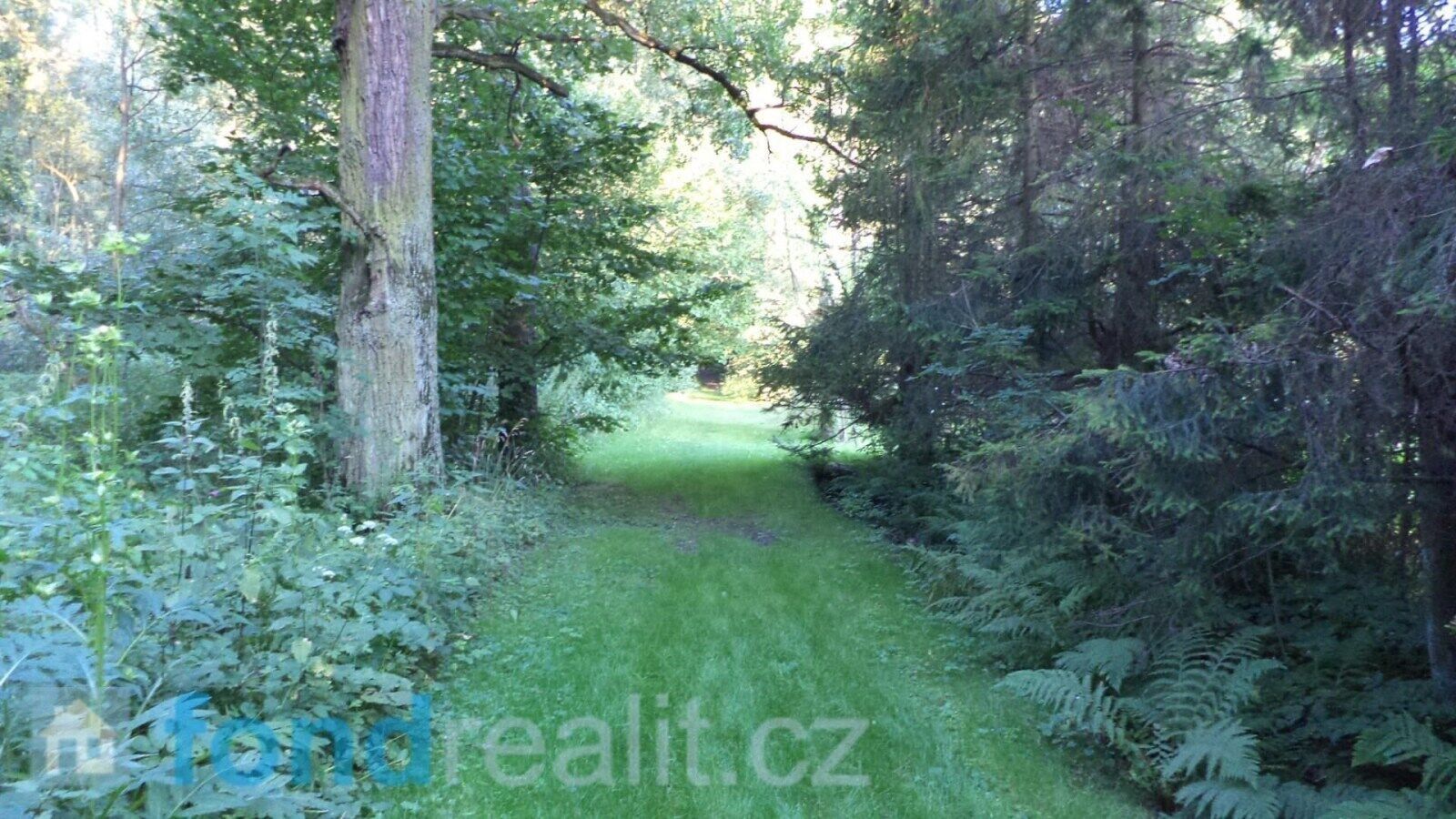 Prodej nemovitosti 225 m² - foto 1
