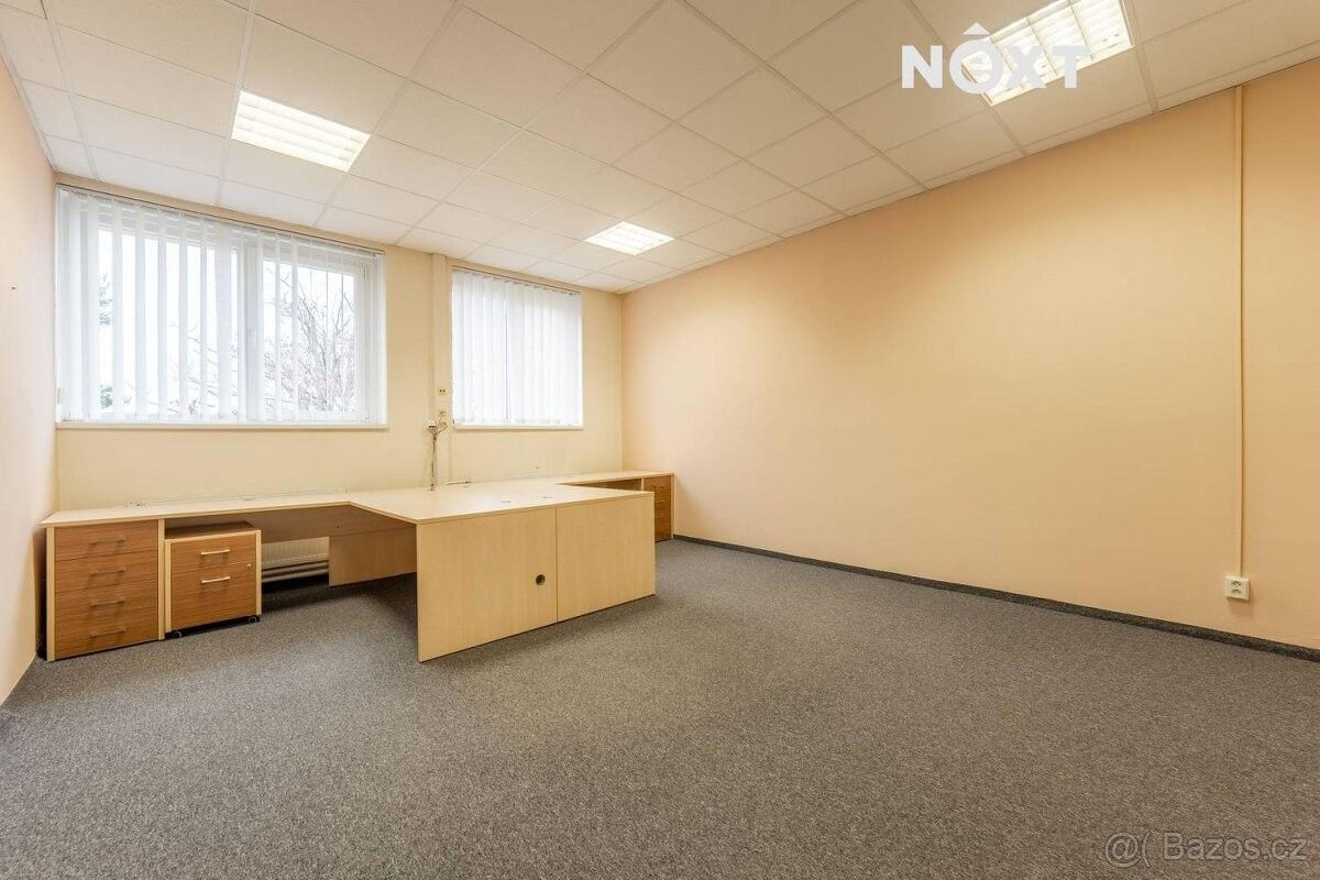 Pronájem komerčního prostoru - foto 14