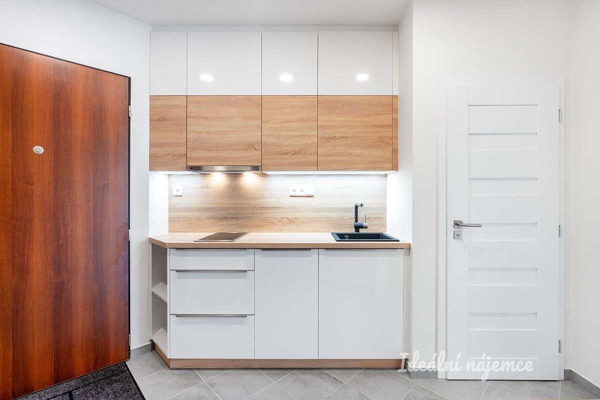 Pronájem bytu 1+kk 39 m² - foto 5