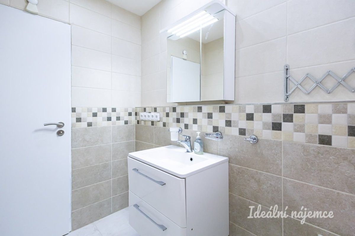 Pronájem bytu 3+1 67 m² - foto 13